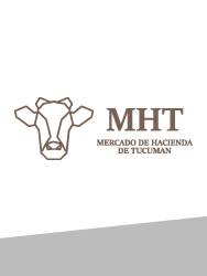 MHT